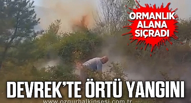 Devrek'te Örtü Yangını