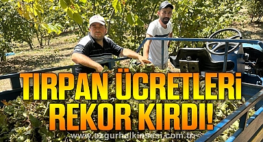 Fındık hasadı başladı, tırpan ücretleri rekor kırdı