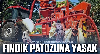 Fındık Patozuna Yasak!