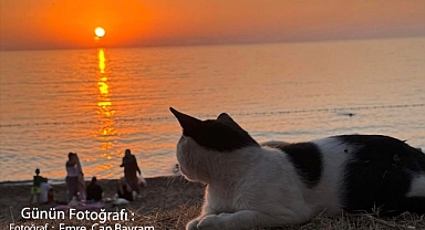 GÜNÜN FOTOĞRAFI