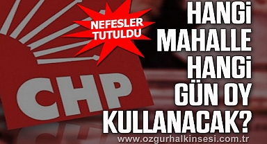 HANGİ MAHALLE HANGİ GÜN OY KULLANACAK?
