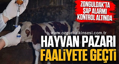 Hayvan Pazarı Faaliyete Geçti