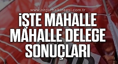 İŞTE MAHALLE MAHALLE DELEGE SONUÇLARI