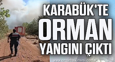 Karabük'te orman yangını çıktı
