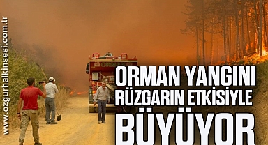 Karabük’teki orman yangını rüzgarın etkisiyle büyüyor
