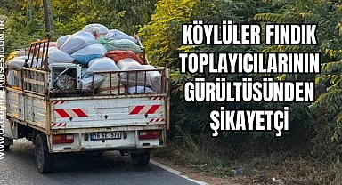 KÖYLÜLER FINDIK TOPLAYICILARININ GÜRÜLTÜSÜNDEN ŞİKAYETÇİ