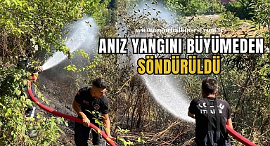 Kozlu’da anız yangını büyümeden söndürüldü