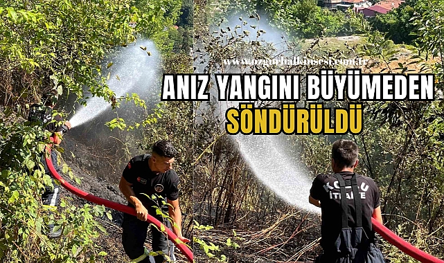 Kozlu’da anız yangını büyümeden söndürüldü