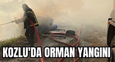 KOZLU'DA ORMAN YANGINI