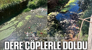 Mollabey Deresi çöplerle doldu, köylüler tepkili