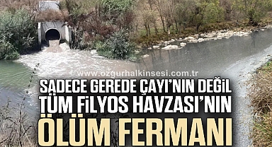 Sadece Gerede Çayı'nın değil, Tüm Filyos Havzası'nın ölüm fermanı