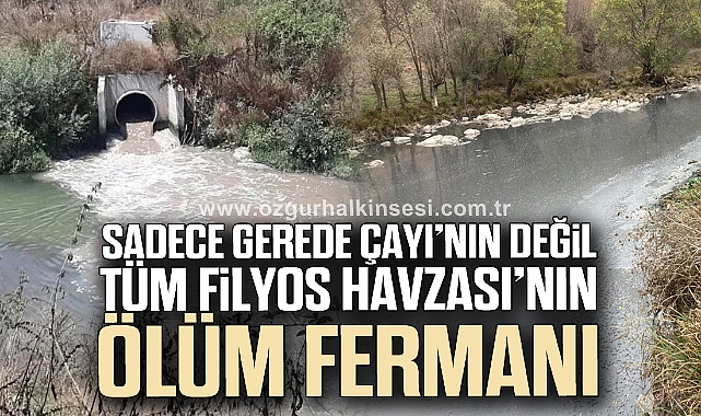 Sadece Gerede Çayı'nın değil, Tüm Filyos Havzası'nın ölüm fermanı