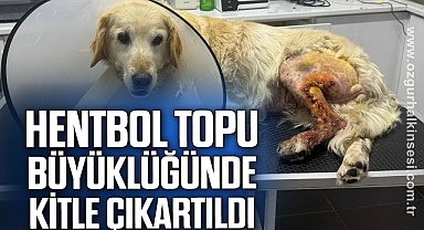 Şila'dan hentbol topu büyüklüğünde kitle çıkartıldı