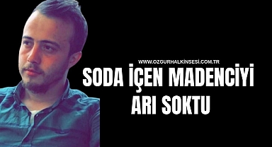 SODA İÇEN MADENCİYİ ARI SOKTU