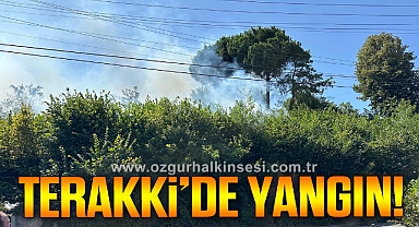 Terakki'de ormanlık alanda yangın çıktı