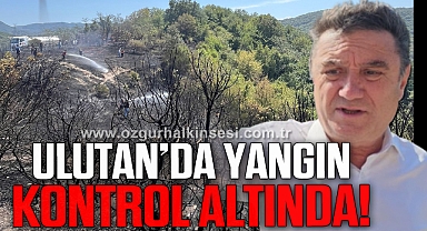 Ulutan'daki orman yangını kontrol altına alındı