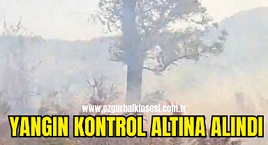 YANGIN KONTROL ALTINA ALINDI