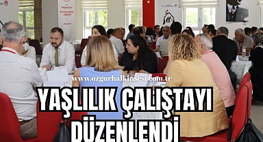 YAŞLILIK ÇALIŞTAYI DÜZENLENDİ