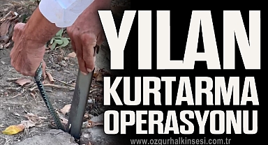 yılan kurtarma operasyonu