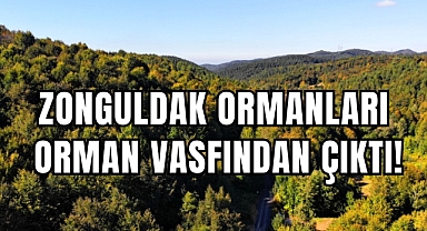 ZONGULDAK ORMANLARI ORMAN VASFINDAN ÇIKTI!