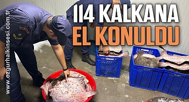 Zonguldak'ta Kaçak Avcılığa Geçit Yok: 114 Kalkan Balığına El Konuldu