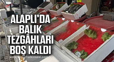 Alaplı'da balık tezgâhları boş kaldı