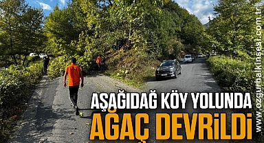 Aşağıdağ Köy Yolunda Ağaç Devrildi