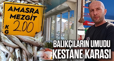Balıkçılar palamut için