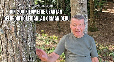Bin 200 kilometre uzaktan gelip diktiği fidanlar orman oldu