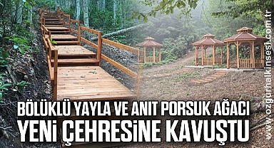 Bölüklü Yayla ve Anıt Porsuk Ağacı Yeni Çehresine Kavuştu