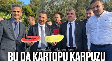 BU DA KARTOPU KARPUZU