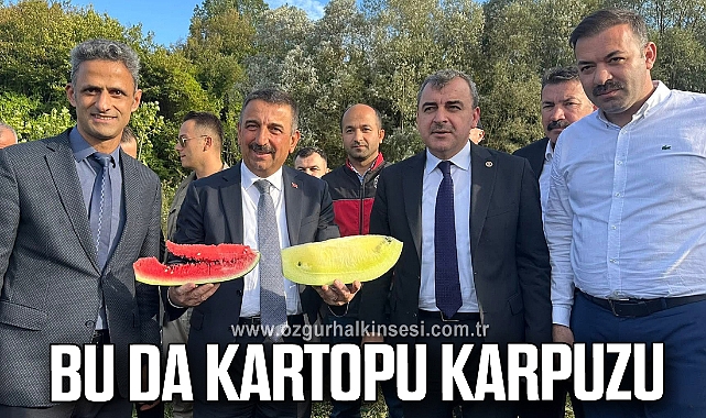 BU DA KARTOPU KARPUZU