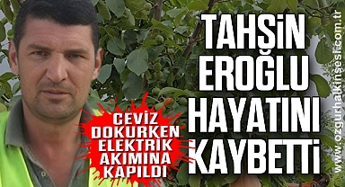 CEVİZ DOKURKEN ELEKTRİK AKIMINA KAPILDI