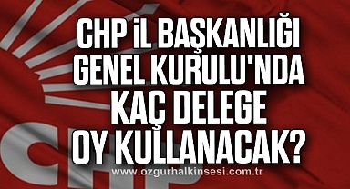 CHP İl Başkanlığı Genel Kurulu'nda Kaç Delege Oy Kullanacak?