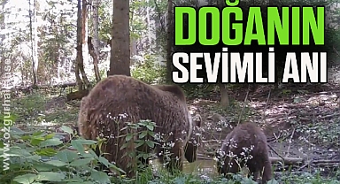Doğanın sevimli anı