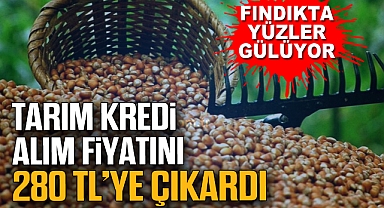Fındıkta Yüzler Gülüyor: Tarım Kredi Alım Fiyatını 280 TL’ye Çıkardı
