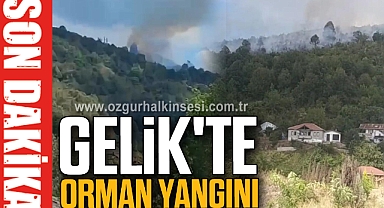 GELİK'TE ORMAN YANGINI