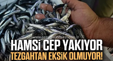 Hamsi Cep Yakıyor, Tezgahtan Eksik Olmuyor!