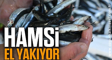 Hamsi el yakıyor