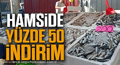 HAMSİDE YÜZDE 50 İNDİRİM