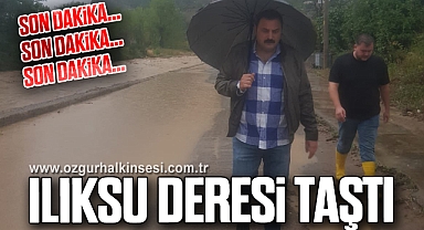 ILIKSU DERESİ TAŞTI