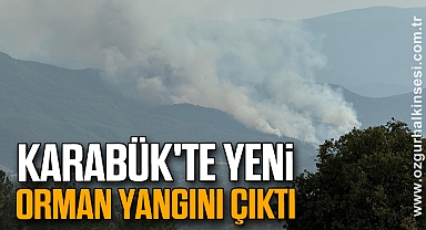 Karabük'te yeni orman yangını çıktı