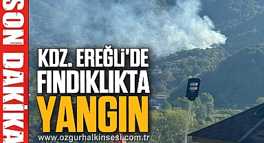 Kdz. Ereğli'de Fındıklıkta Yangın
