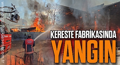 Kereste fabrikasında yangın