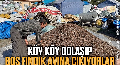 Köy köy dolaşıp boş fındık avına çıkıyorlar