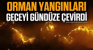 Orman yangınları geceyi gündüze çevirdi