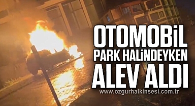 Otomobil park halindeyken alev aldı