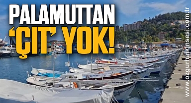 PALAMUTTAN ‘ÇIT’ YOK!