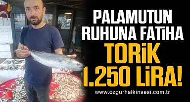 PALAMUTUN RUHUNA FATİHA TORİK 1.250 LİRA!