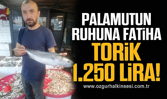 PALAMUTUN RUHUNA FATİHA TORİK 1.250 LİRA!